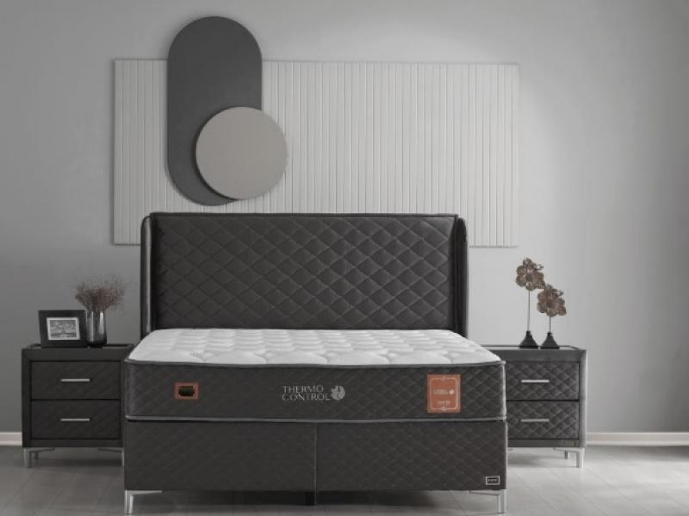 Thermo Control Baza
